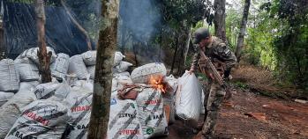 Droga en Reservas Naturales: Eliminaron 3 toneladas de la Reserva Morombí